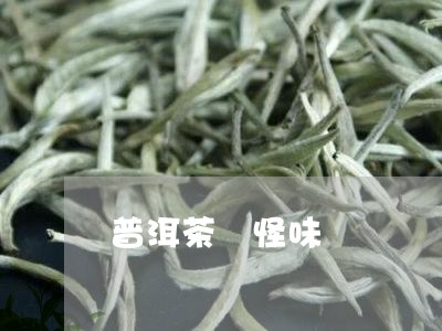 普洱茶 怪味/2023042965942